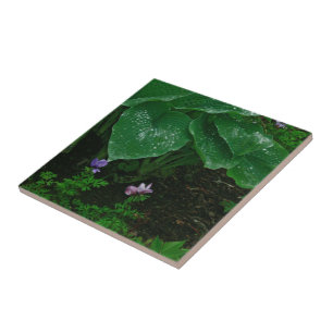 Decorative Ceramic Tile/ Hostas With Raindrops Tile