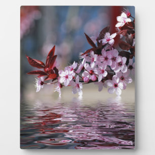 Decorative cherry tree blossoms plaque