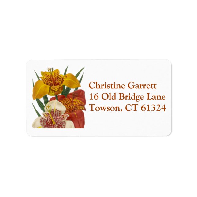Decorative colourful flower daylily label (Front)