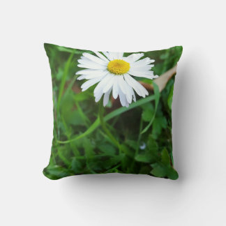 Decorative cushion, daisy, flower cushion