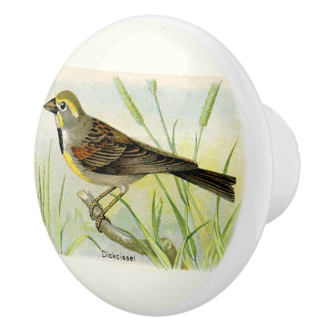 Decorative Dickcissel Bird Ceramic Knob (Right)