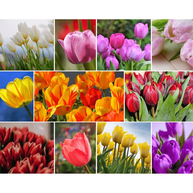 Decorative Flowers Glass Cutting Board (Creator Uploaded)