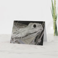 Decorative Gator Skull