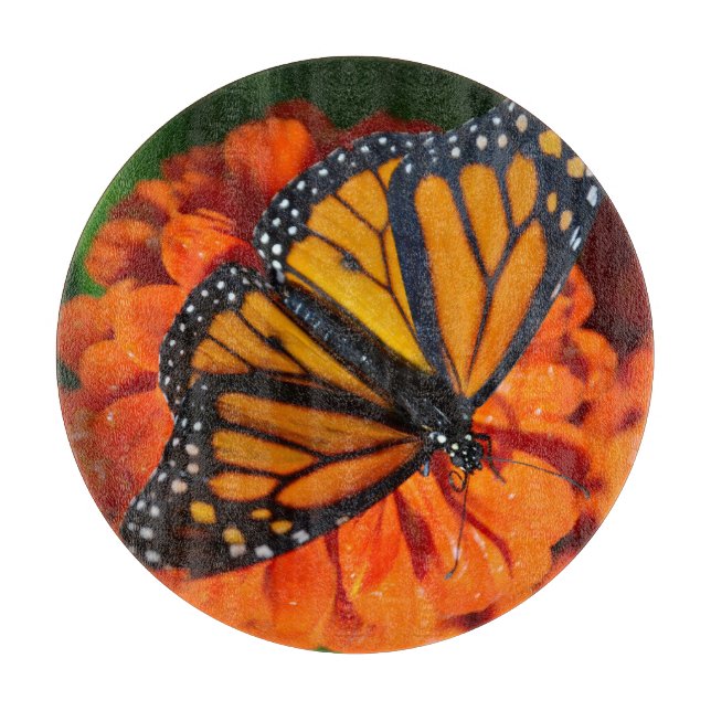 Decorative Glass Cutting Board butterfly's (Front)