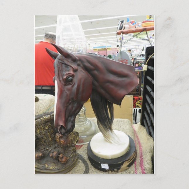 Decorative Horse Head Postcard (Front)