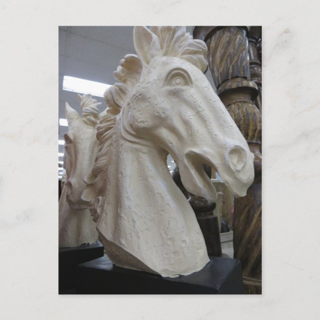 Decorative Horse Head Postcard (Front)