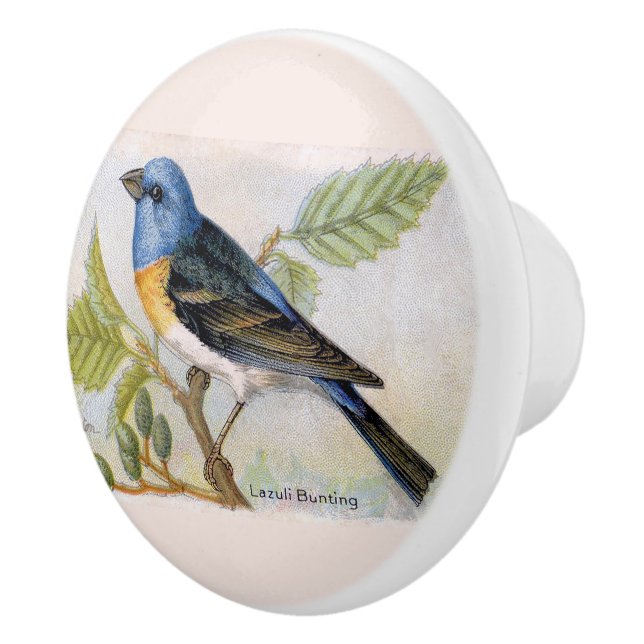 Decorative Lazuli Bunting Bird Ceramic Knob (Right)