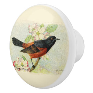 Decorative Orchard Oriole Bird Ceramic Knob