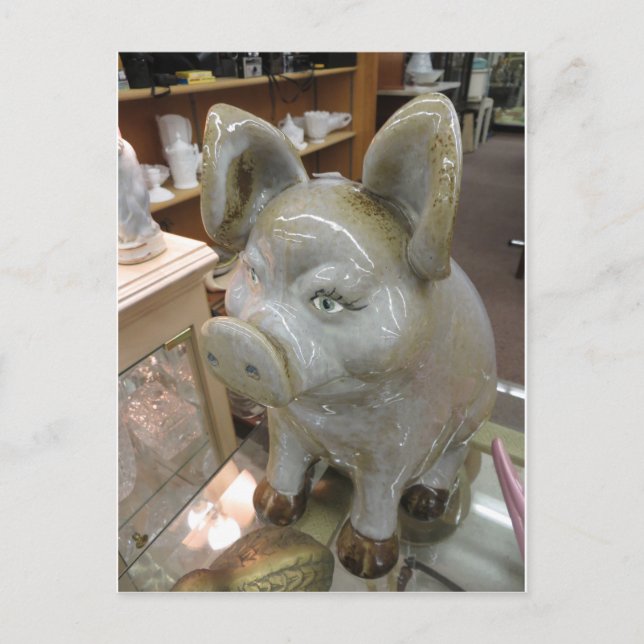Decorative Pig Postcard (Front)