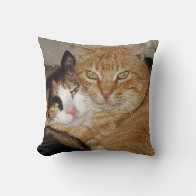 Decorative pillow Gatos (Front)