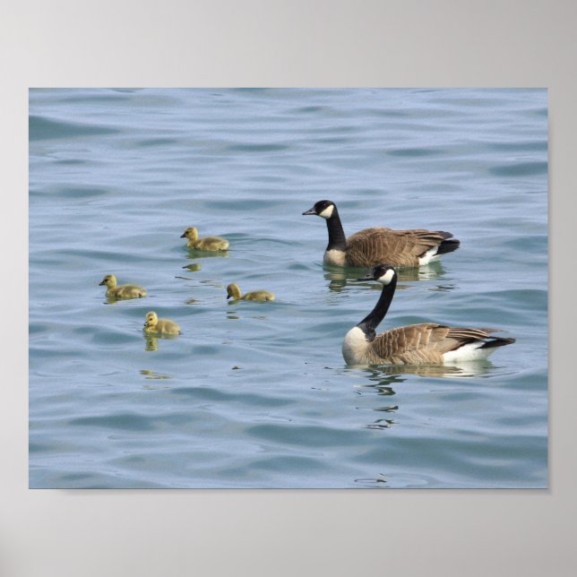 Decorative Posters (Front)