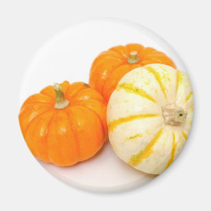 Decorative Pumpkins Magnet
