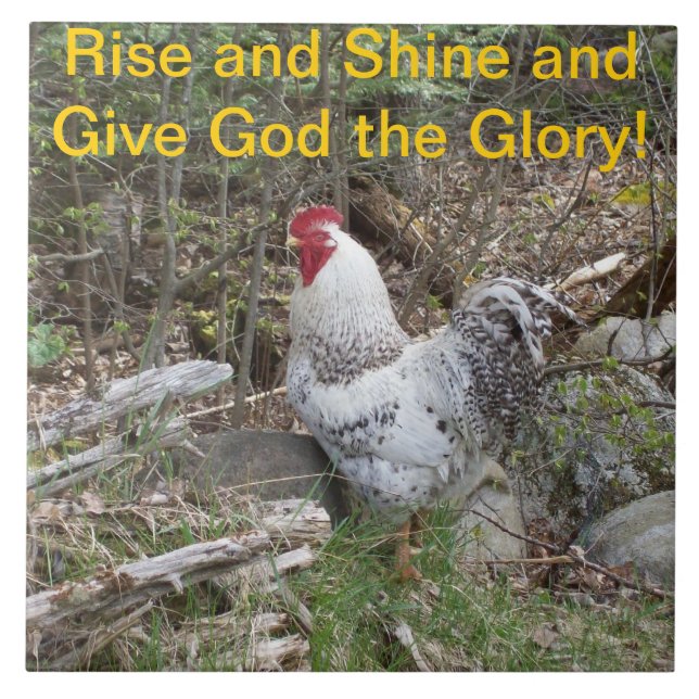 Decorative Rooster Tile (Front)