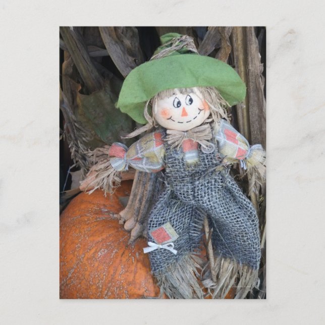 Decorative Scarecrow Postcard #1 (Front)