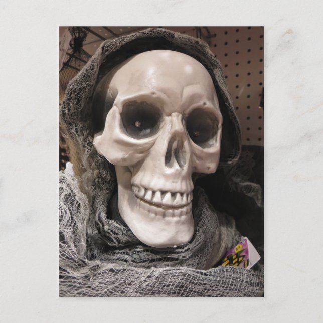 Decorative Skeleton Postcard (Front)