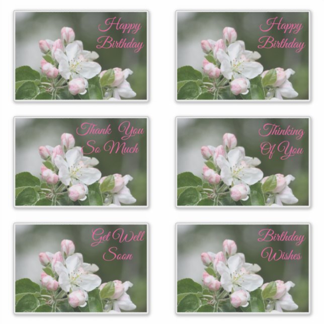 Decorative Stickers For All Occasions (Front)