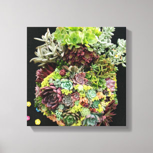 Decorative Succulents Canvas Print