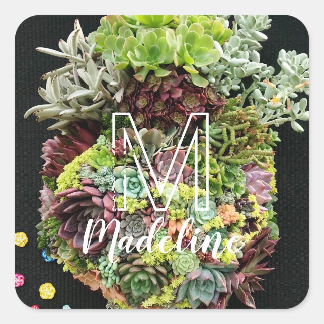 Decorative Succulents Square Sticker (Front)