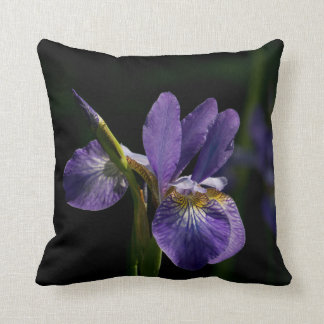 Decorative Throw Pillows. Cushion