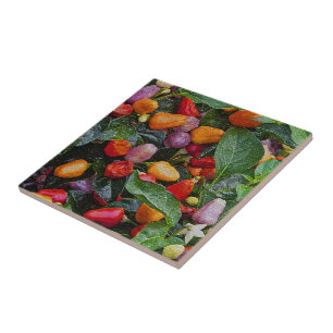 "DECORATIVE TILE WITH COLORFUL ORNAMENTAL PEPPERS