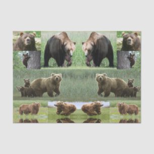Decorative tissue paper bears wildlife