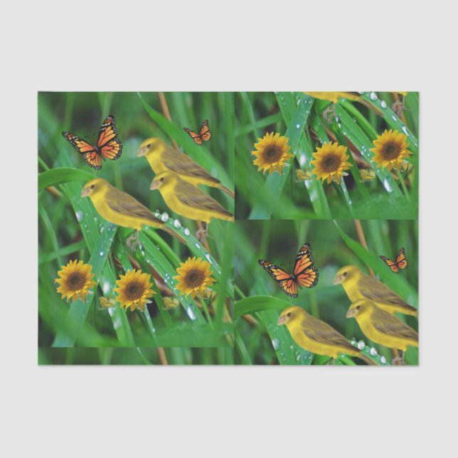 Decorative tissue paper birds (Front)
