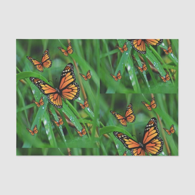 Decorative tissue paper butterflies (Front)