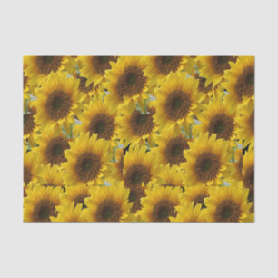 Decorative tissue paper sunflowers