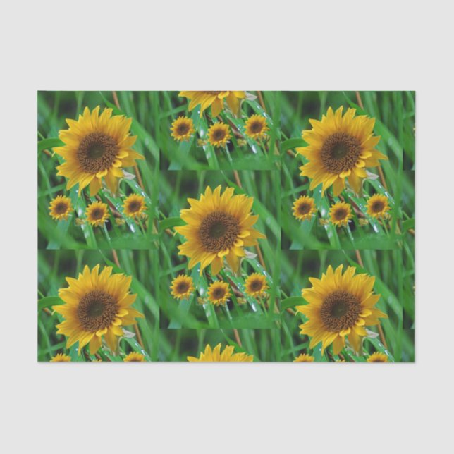 Decorative tissue paper sunflowers (Front)