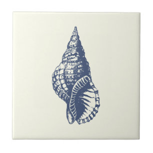 Decorative Vintage Blue Seashell on Ivory Tile