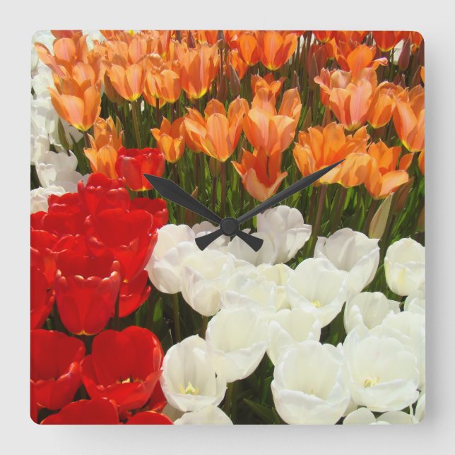 Decorative Wall Clocks Orange Red White Tulips (Front)