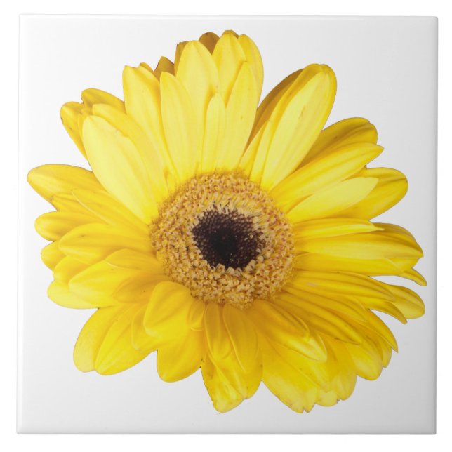 Decorative Yellow Gerber Daisy Close-Up Photograph Tile (Front)
