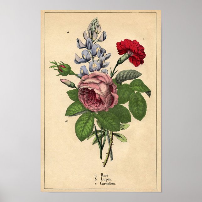 Decorator Botanical Print - Rose,Lupin & Carnation (Front)