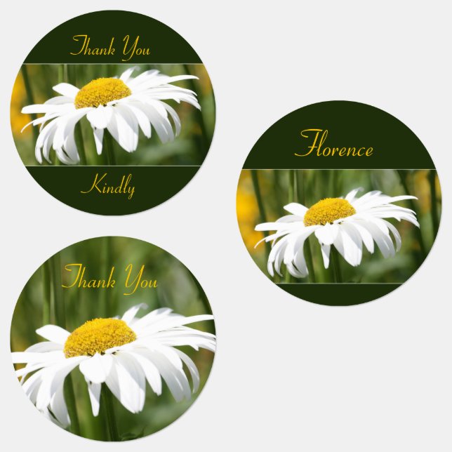 Decortive White Daisy (Group)