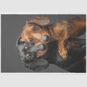 Decoupage 2 Dachshund Dogs Hugging Tissue Paper