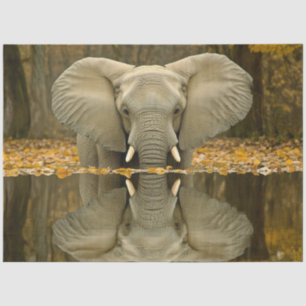 Decoupage African Elephant Wildlife Digital Art  Tissue Paper