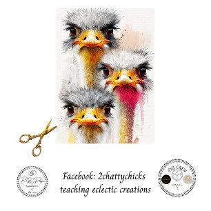 Decoupage Australian Emu Trio Wildlife Art Tissue Paper