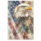 Decoupage Bald Eagle American Flag Pride