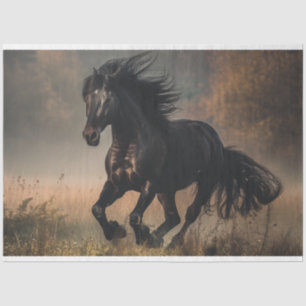 Decoupage Black Stallion Running Field Tissue Paper
