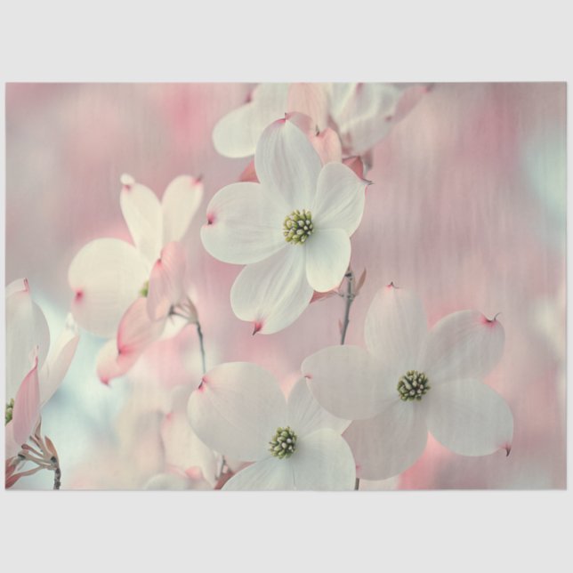 Decoupage Delicate Pink Dogwood Flowers  Tissue Paper (Front)