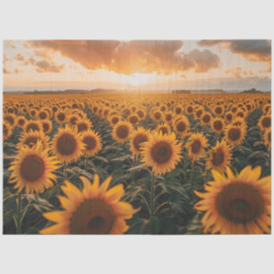 Decoupage Field of Sunflowers and Sunrise Tissue Paper