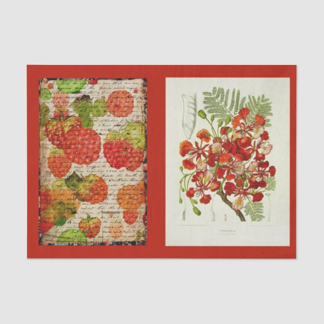 Decoupage Paper 10"x15" - Botanical Art 53 (Front)