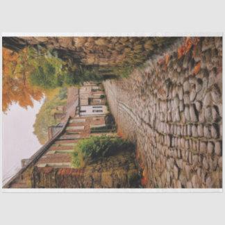 Decoupage Paper, Wrapping, - Ephemeral Elegance 1 Tissue Paper