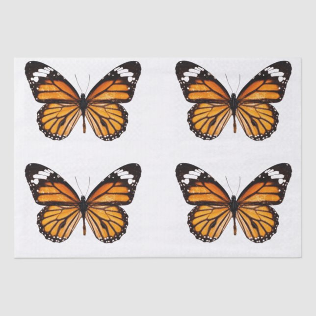 DECOUPAGE TISSUE PAPER : MONARCH BUTTERFLY (Front)