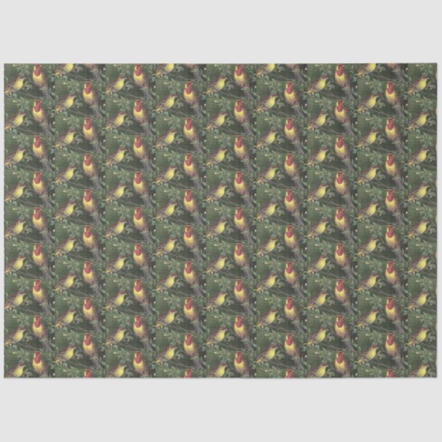 Decoupage Two Colourful Birds Tissue Paper (Front)