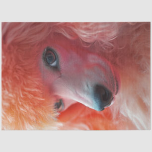 Decoupage Whimsical Pink Hairdo Standard Poodle Tissue Paper