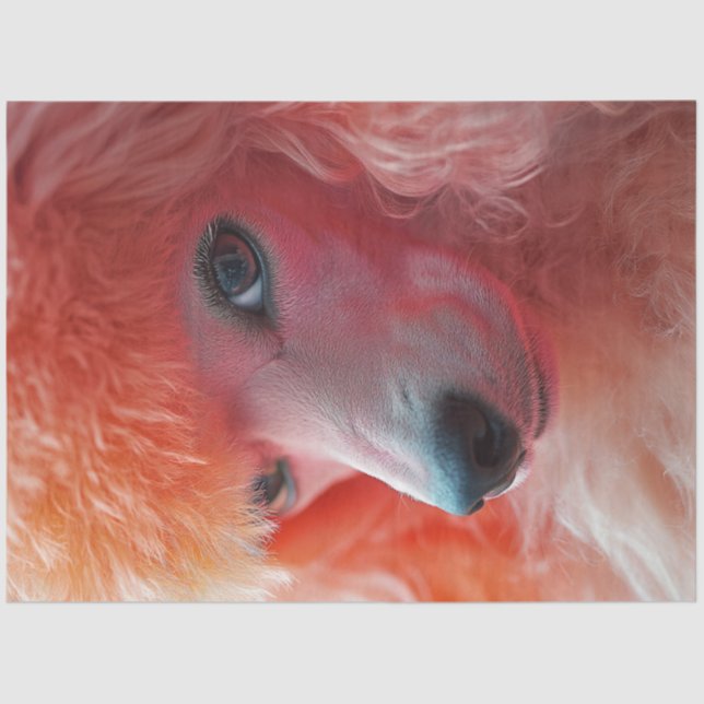 Decoupage Whimsical Pink Hairdo Standard Poodle Tissue Paper (Front)