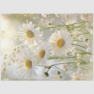 Decoupage White Daisies Natural Setting Tissue Paper
