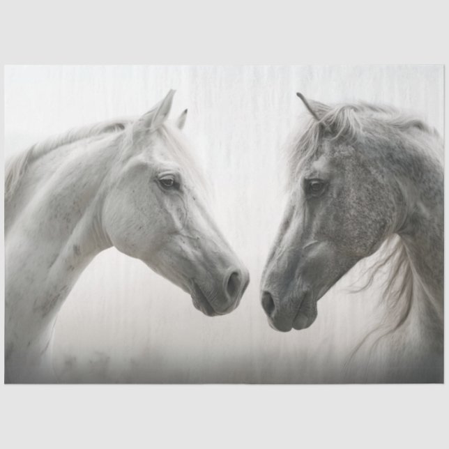 Decoupage White Horses Face to Face  Tissue Paper (Front)