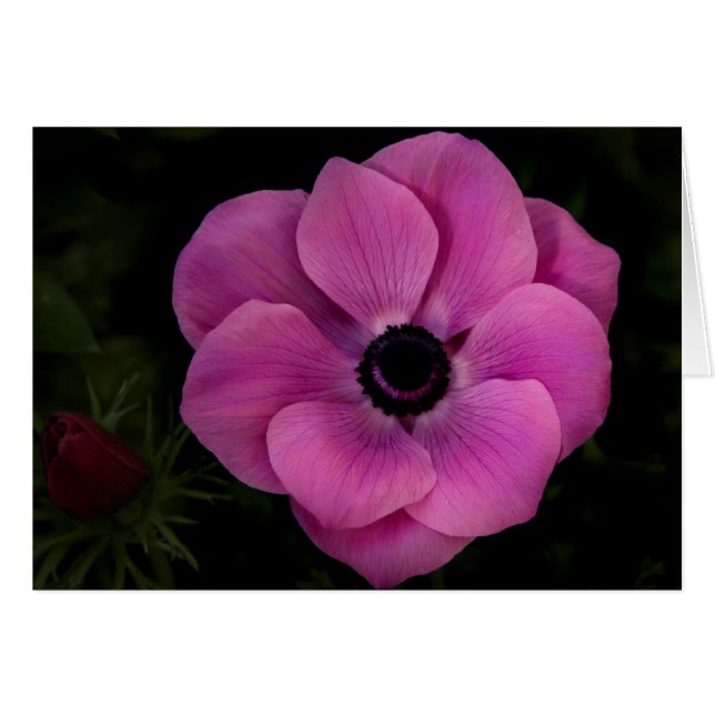 Deep (Front Horizontal)